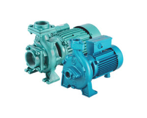 ACM-_-Virat-500-400 (1)