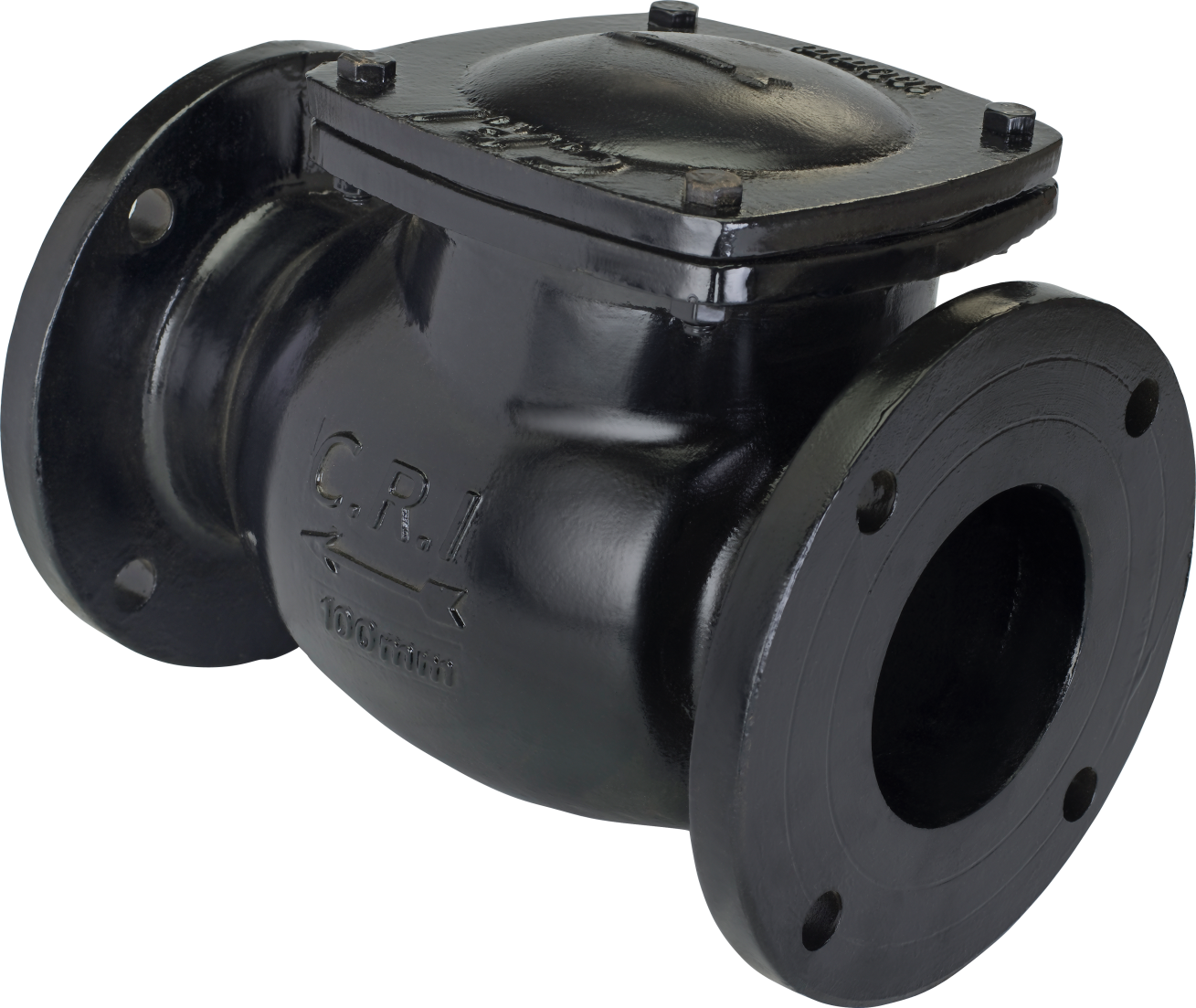 Non Return Valves
