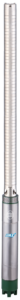 Nile + SS
