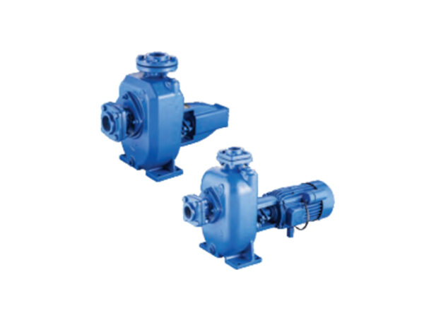 <a href="/50hz-internationl-industry-ms-mp-series-and-ecn/"  class="custom-link" >MS & MP, ECN, SP & SMB Series</a>